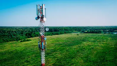 Persona consultant serveis de telecomunicacions des del seu smartphone