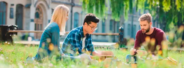 Image representing universities and educational institutions